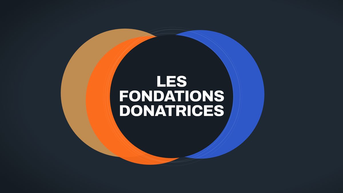 Les fondations donatrices suisses : le guide de la recherche de fonds